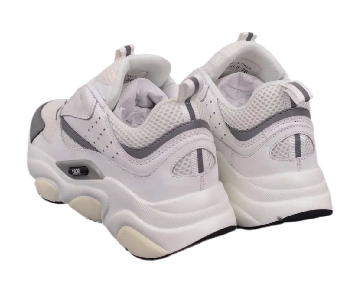 Dior B22