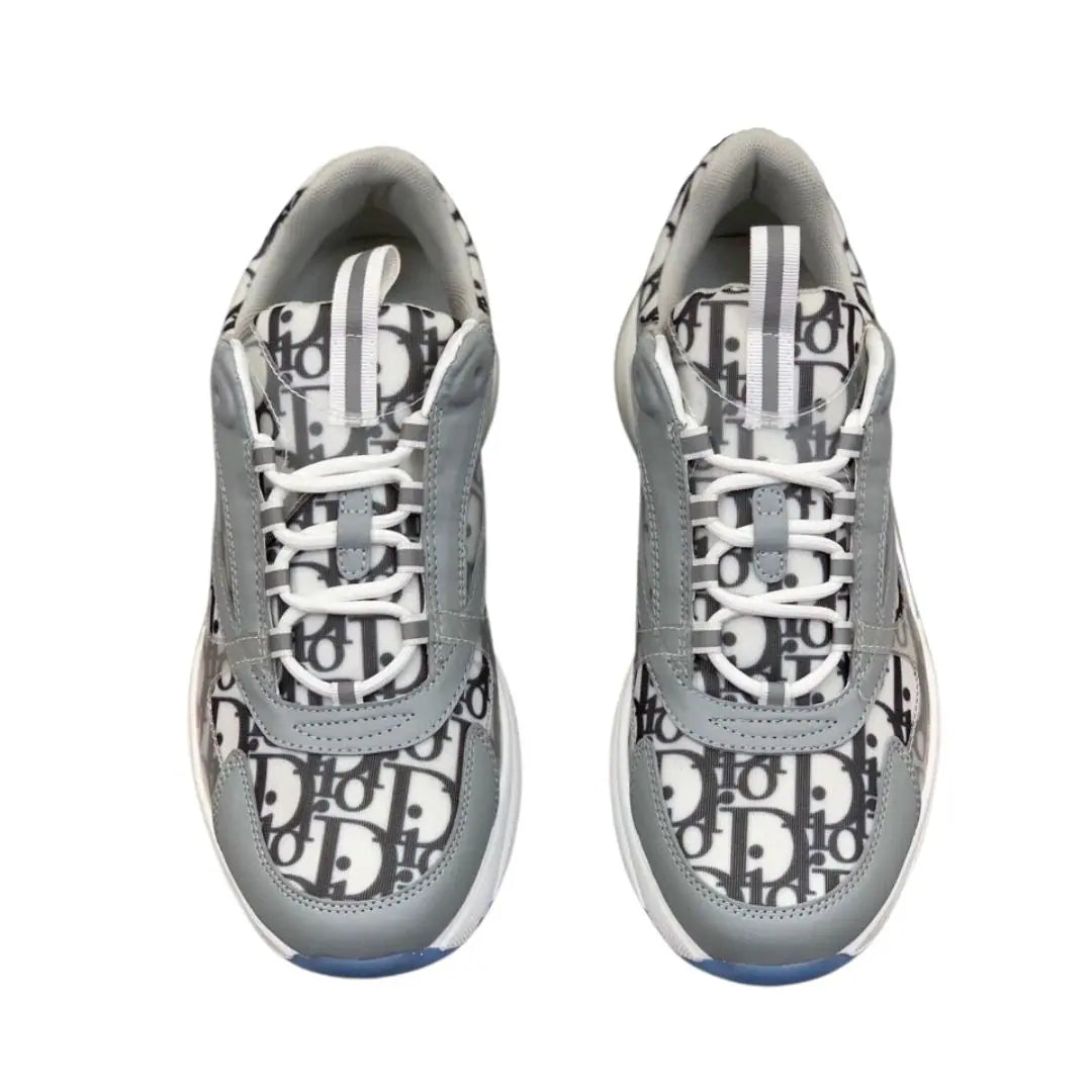 Dior B22 B21 Blanche Gris