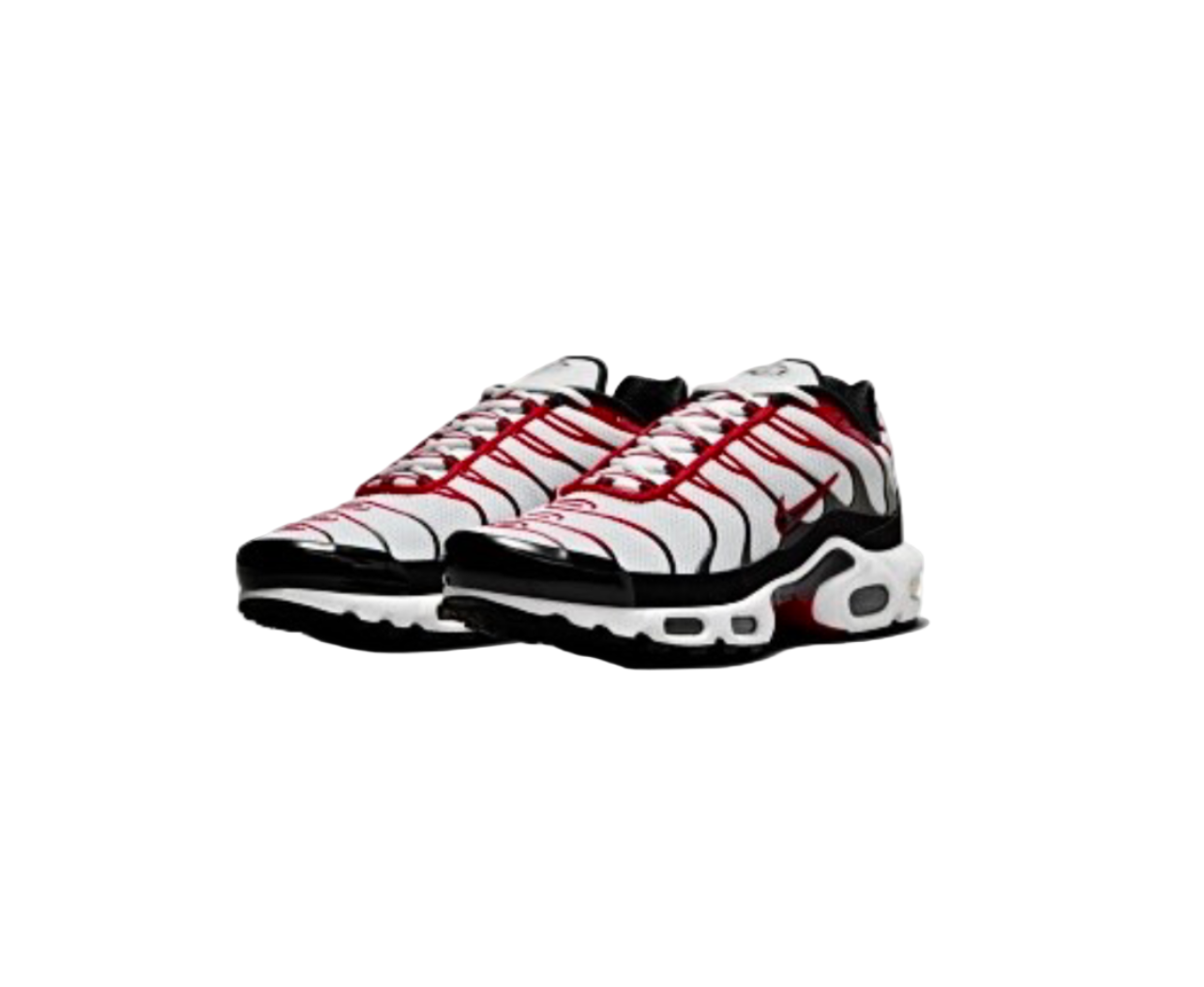 Nike Tn Air Max Plus