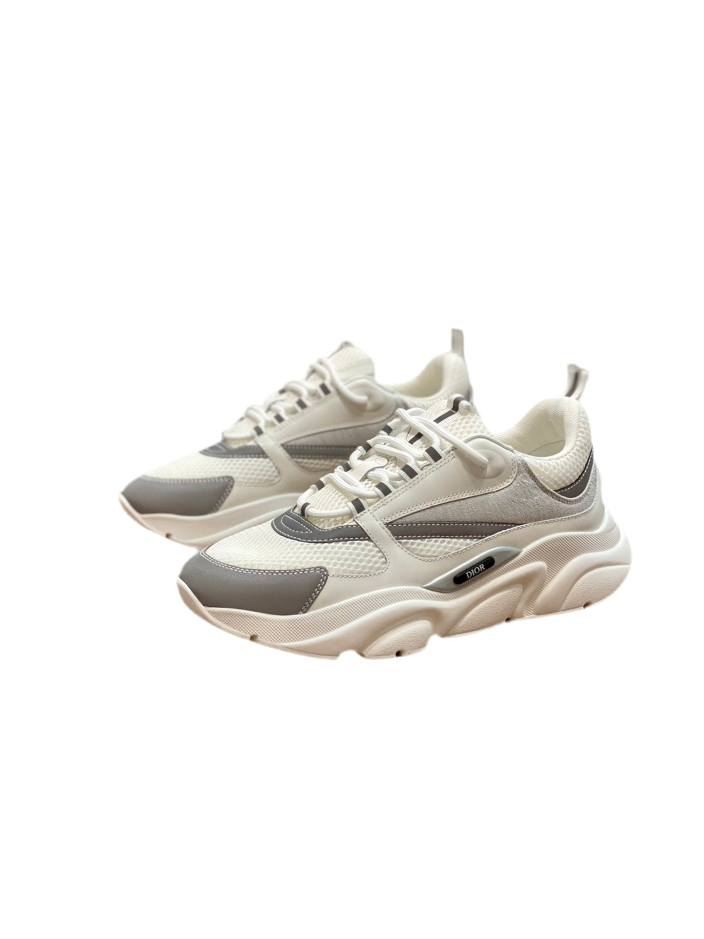 Dior B22