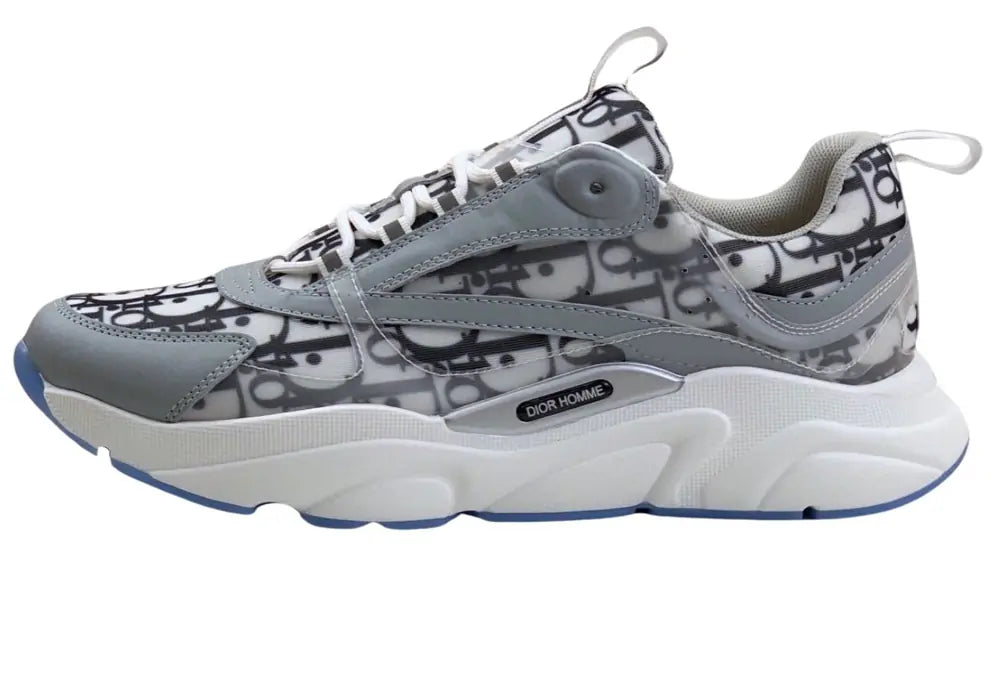 Dior B22 B21 Blanche Gris